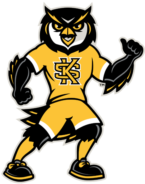 Kennesaw State Owls 2012-Pres Mascot Logo diy DTF decal sticker